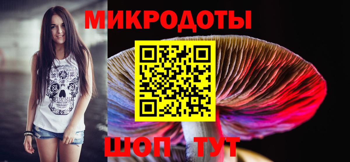 Псилоцибиновые грибы мицелий Гудермес