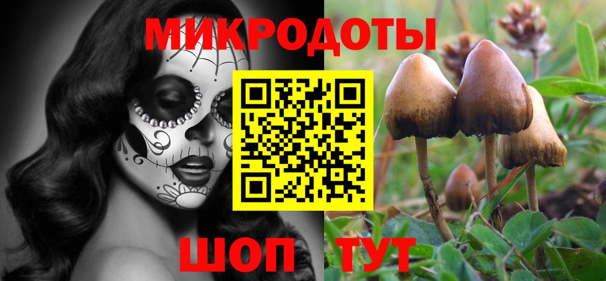 Псилоцибиновые грибы GOLDEN TEACHER  наркошоп  Гудермес  Вход с VPN 