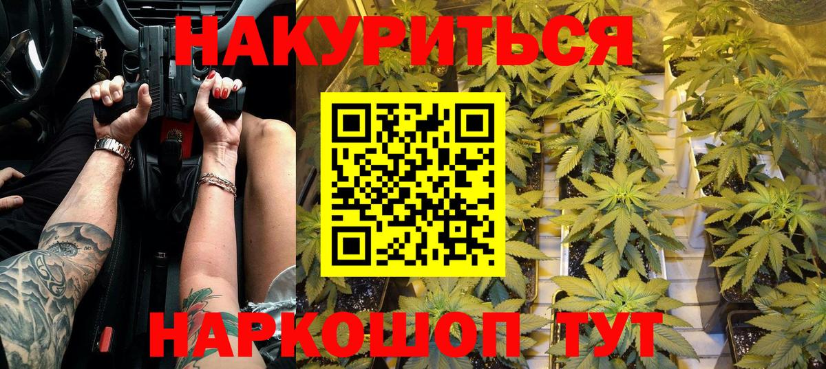 Гудермес  Канабис White Widow  Бошки марихуана план  Каннабис MAZAR  Вход с VPN 